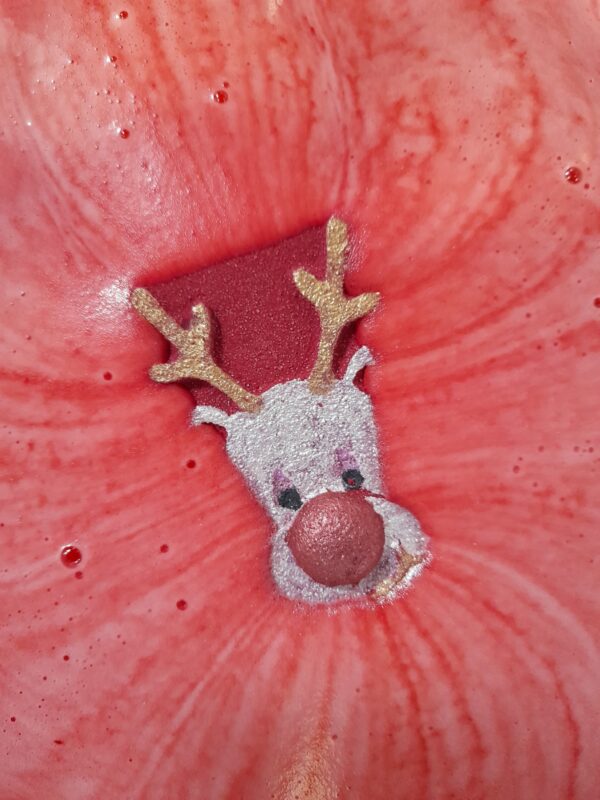 Raspberry Rudy - Image 3